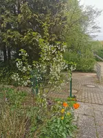 IMG_20230423_161240.webp