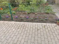 IMG_20230423_161100.webp