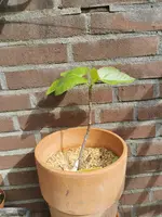IMG_20230423_160852.webp