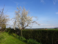 DSC02869.JPG