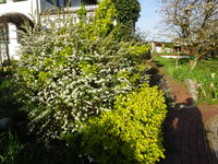 DSC02866.JPG