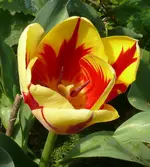 2023GrandP.webp 2023GrandP.webp