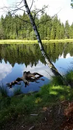 IMG-20180905-WA0001.webp