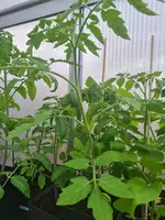 20230424_171934.webp