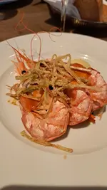 20230424_200609.webp