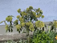 C389E0D8-0C30-461F-BE12-083CE2F52E49.webp