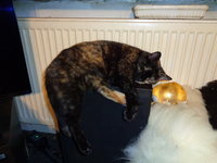 DSC00422.JPG