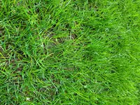20230426_122129.webp