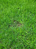 20230426_122140.webp