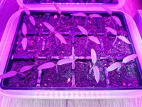 IMG_20230426_174611.webp