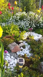 20230427_073154.webp