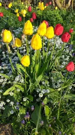 20230427_073303.webp