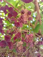 IMG_20230426_161823.webp