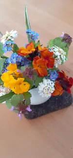 20230427_093154.webp