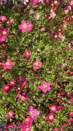 IMG_6583.jpeg