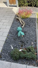 IMG_6585.jpeg
