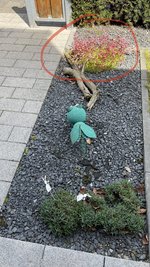IMG_6585.jpeg