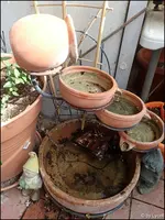 c033.webp