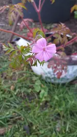 20230427_181757.webp