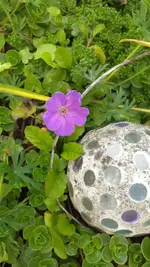 20230427_181604.webp
