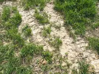 P4270033.webp