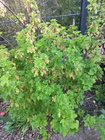 20230427_193517.webp