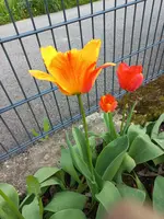 20230426_171104.webp