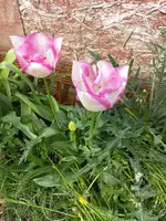 20230426_171049.webp
