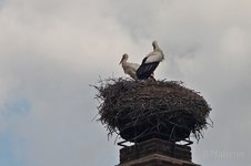Wissembourg 3.jpg