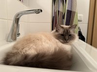 IMG_8888.jpeg
