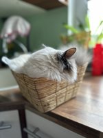 IMG_8891.jpeg