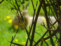 DSC02890.webp