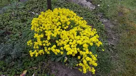 20230429_170359.jpg