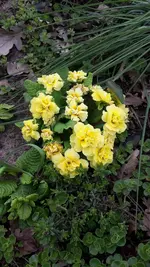 20230429_170433.webp