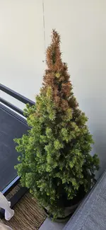 20230429_182359.webp