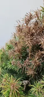 20230429_182348.webp