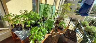 20230430_083703.webp