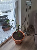 20230430_075622.jpg