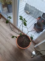 20230430_075628.jpg