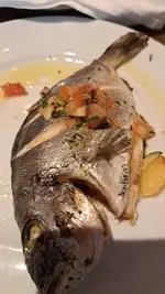 20230429_200048.webp