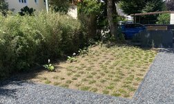 IMG_6293.jpeg