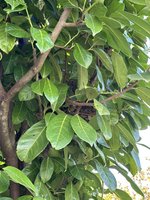 IMG_8901.jpeg