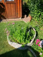IMG_7705.webp