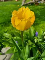 20230430_210936.jpg
