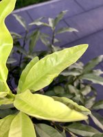 IMG_5762.jpeg