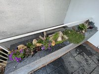E9949F16-21CF-488D-BB8F-E80341E6A5C2.jpeg