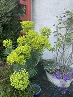 8403CE88-DE93-4573-B692-684C79E65E31.jpeg