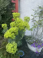 8403CE88-DE93-4573-B692-684C79E65E31.jpeg