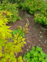 20230501_105233.webp