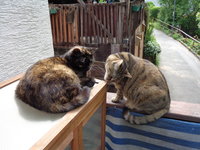 DSC00483.JPG